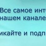 Как избавиться от запаха кошачьей мочи