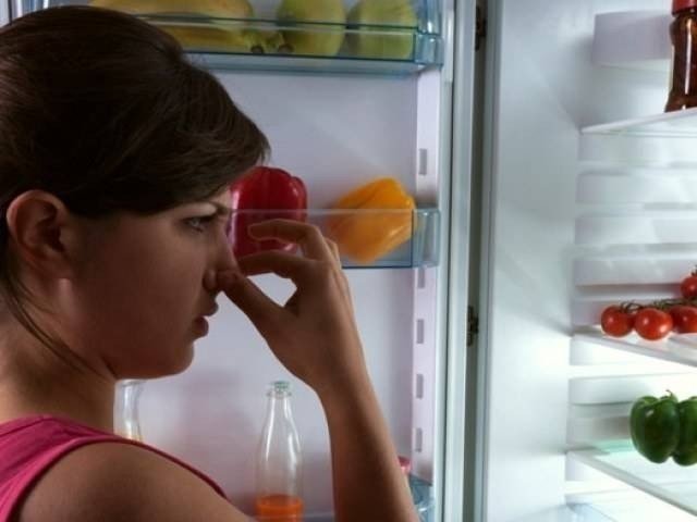 Сообщение на тему запах из холодильника