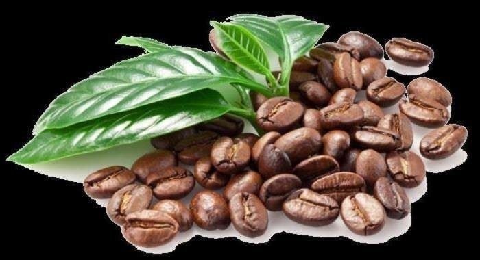 Гадание на кофейных зернах