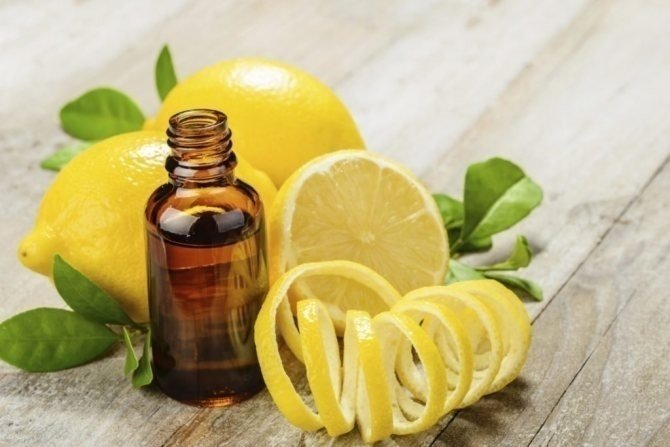 Лимон эфирного масла розмарина