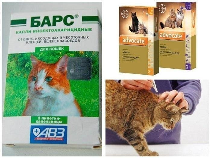 Барс лекарство для кошек от клещей и блох