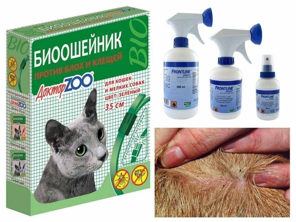 Ошейник доктор зоо для кошек против блох и клещей аннотация