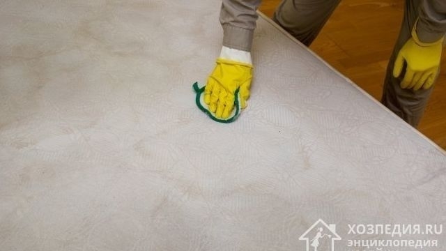 Как почистить матрас в домашних условиях от запаха и пятен