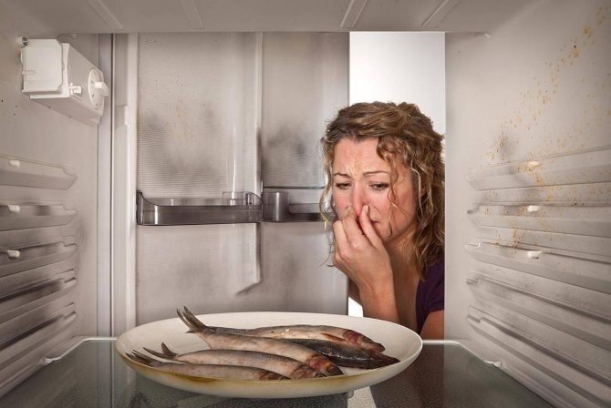 Убрать запах из холодильника запах копченой рыбы