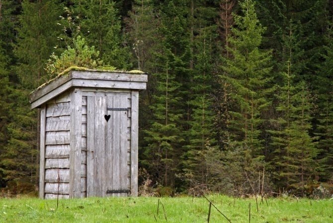 Заброшенные деревенские туалеты