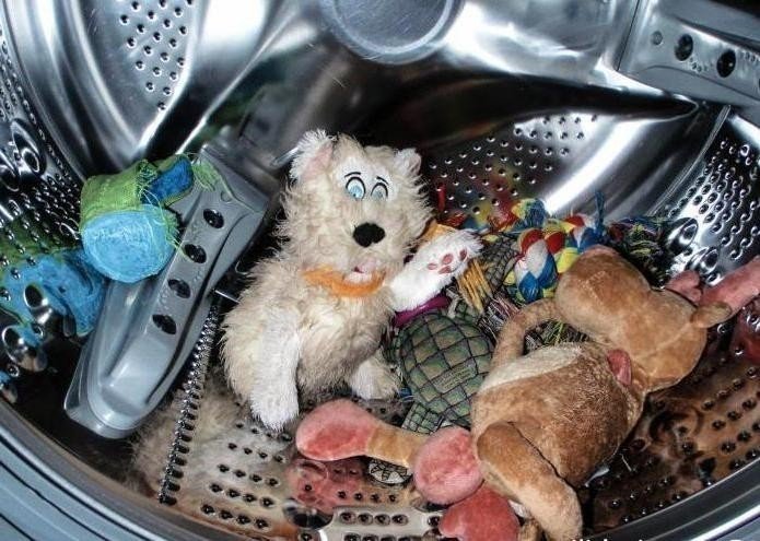 Спасение котят от стиральной машины